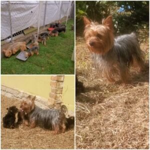 20230615_000337_Original