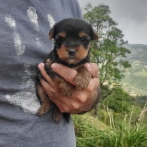 20240719_152950_Original