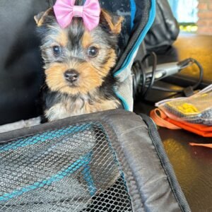 5B2E5304-7C1A-42FF-A148-10BFED28CDCB