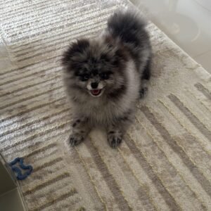 A8EC8780-6591-41C4-9F57-95FA526B9226