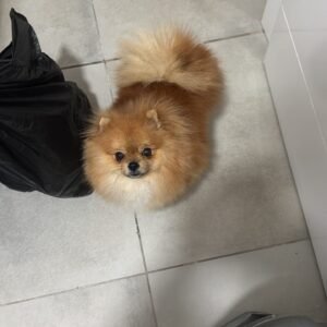 ABA7C332-456B-43FE-93F0-EAD6667E1C7E