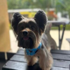 Screenshot_20231130-121303_WhatsAppBusiness_Original