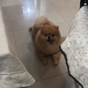 Imagen de WhatsApp 2025-12-06 a las 20.47.45_9e2d7b3f