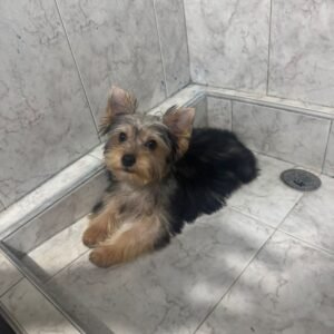 Imagen de WhatsApp 2025-12-06 a las 20.47.46_2952d31a