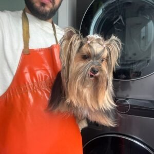 Imagen de WhatsApp 2025-12-06 a las 20.47.46_44b7a3d6