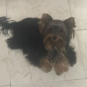 Imagen de WhatsApp 2025-12-06 a las 20.51.45_eb74a0a1