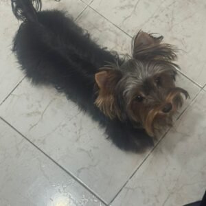 Imagen de WhatsApp 2025-12-06 a las 20.51.46_5e2a5080